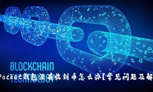TokenPocket钱包没有收到币怎么办？常见问题及解决方案