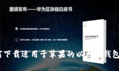 如何下载适用于苹果的以