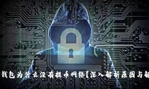 : USDT钱包为什么没有提币网络？深入解析原因与解决方案
