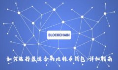 如何选择最适合的比特币