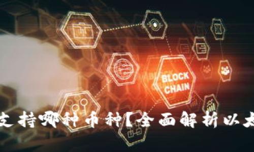 以太坊钱包支持哪种币种？全面解析以太坊生态系统