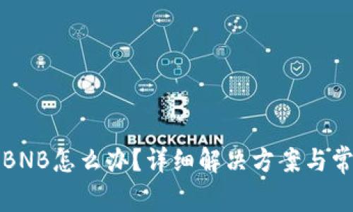 TP钱包没有BNB怎么办？详细解决方案与常见问题解答
