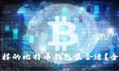 选什么样的比特币钱包最