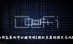 tp钱包真的可以赚钱吗？揭