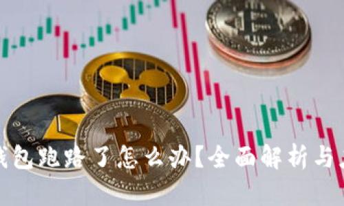 比特币钱包跑路了怎么办？全面解析与应对策略