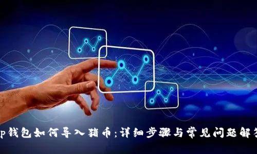 tp钱包如何导入猪币：详细步骤与常见问题解答