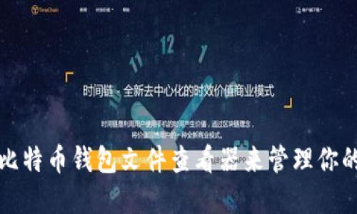如何使用比特币钱包文件查看器来管理你的加密资产