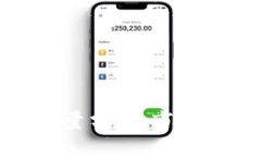 TP钱包的用户数量分析：市