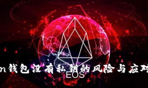 Token钱包没有私钥的风险与应对指南