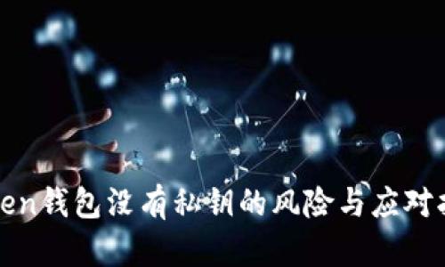 Token钱包没有私钥的风险与应对指南