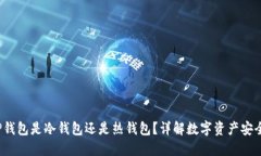  TP钱包是冷钱包还是热钱包？详解数字资产安全