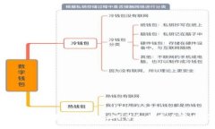 如何查看TP钱包中的钱包地