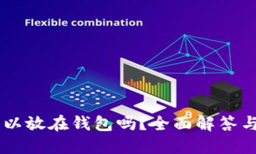 : USDT可以放在钱包吗？全面解答与选择指南