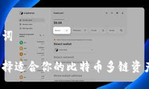 与关键词

如何选择适合你的比特币多链资产钱包？