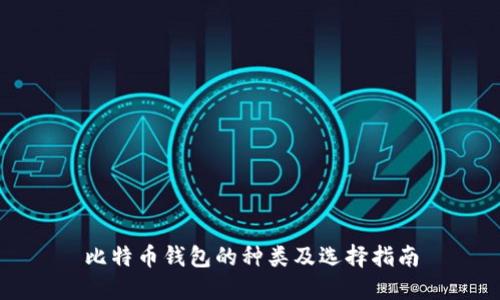比特币钱包的种类及选择指南