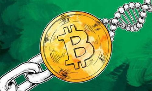 

比特币存储安全性分析：你的钱包真的安全吗？