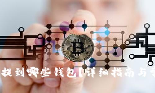 RNDR币可以提到哪些钱包？详细指南与常见问题解答