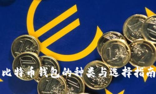 比特币钱包的种类与选择指南