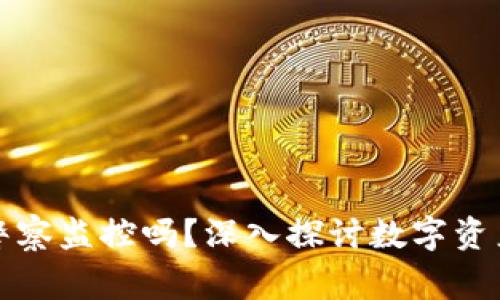 TP钱包会被警察监控吗？深入探讨数字资产安全与隐私
