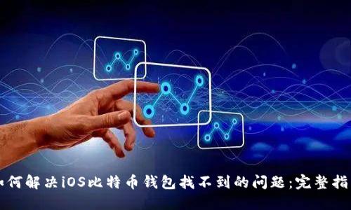 如何解决iOS比特币钱包找不到的问题：完整指南