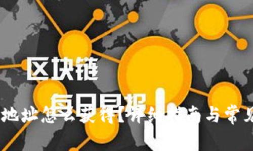 USDT钱包地址怎么获得？详细指南与常见问题解析