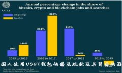 美国人使用USDT钱包的普及现状及其背后的影响