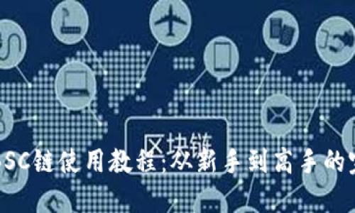 TP钱包BSC链使用教程：从新手到高手的完整指南