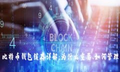 比特币钱包缓存详解：为什么重要、如何管理