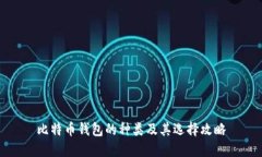 比特币钱包的种类及其选择攻略