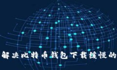 如何解决比特币钱包下载缓慢的问题