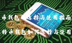 比特币钱包的选择与使用指南  比特币钱包如何选