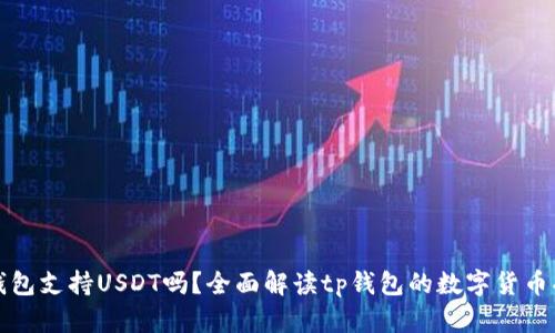 tp钱包支持USDT吗？全面解读tp钱包的数字货币功能