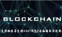 哈萨克斯坦是否支持USDT钱包？全面解析与使用指