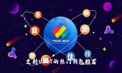 支持USDT的热门钱包推荐
