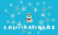 支持USDT的热门钱包推荐
