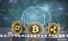 比特币存放在什么钱包里？全面解析比特币钱包
