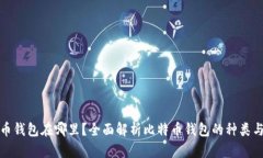 比特币钱包在哪里？全面解析比特币钱包的种类