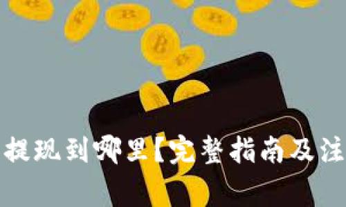 TP钱包提现到哪里？完整指南及注意事项