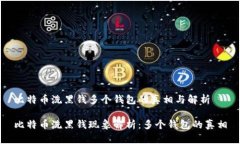 比特币洗黑钱多个钱包的真相与解析比特币洗黑