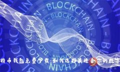 安全无忧的比特币钱包免费下载：如何选择最适